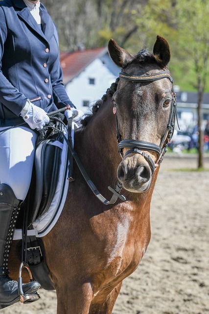 久违了，贝尔纳代斯基时隔6年再次在欧战中取得进球