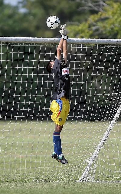 河南省委书记刘宁会见河南队将士，祝贺河南队勇夺足协杯亚军