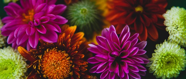 布伦森&布里奇斯首节合计23分，尼克斯首节落后2分